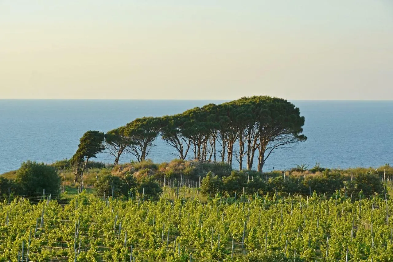 Tenuta Rasocolmo Messina